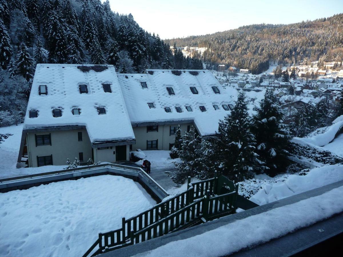 Haus Dachsberg Todtmoos Apartment Luaran gambar